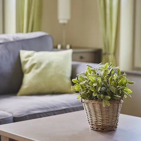 Hotel Flair Strengliner Muehle 3*