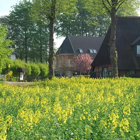 Flair Strengliner Muehle